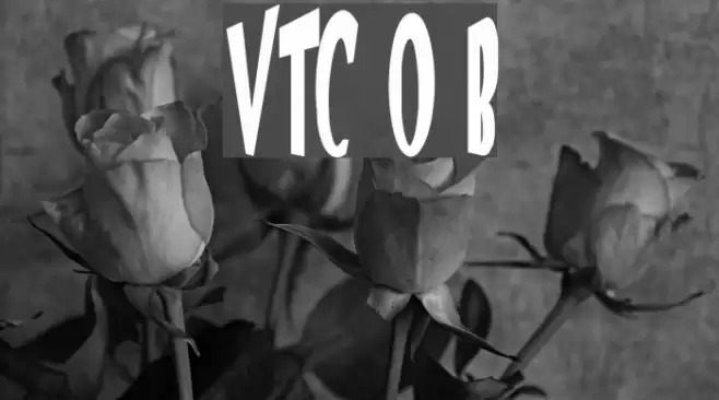 VTC Optika Bold Font examples