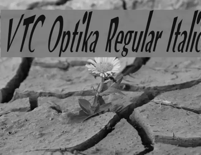 VTC Optika Regular Italic Font examples
