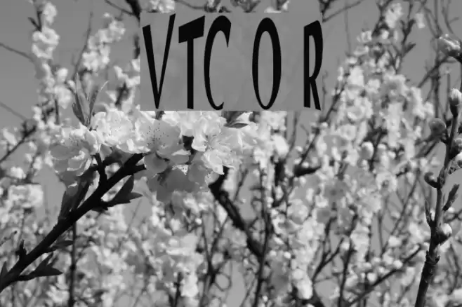 VTC Optika Regular Font examples