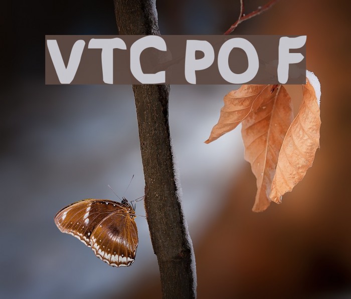 VTC PizzOff Fatty Font examples