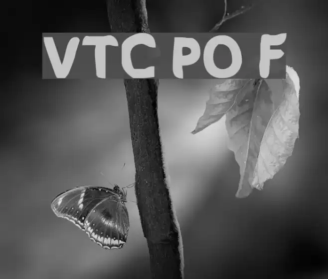 VTC PizzOff Fatty Font examples