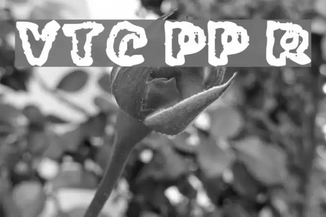 VTC PunkettePumps Regular Font examples