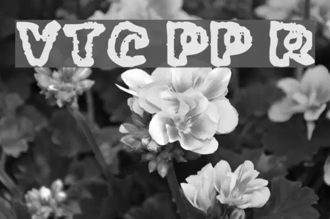 VTC PunkettePumps Regular Font examples