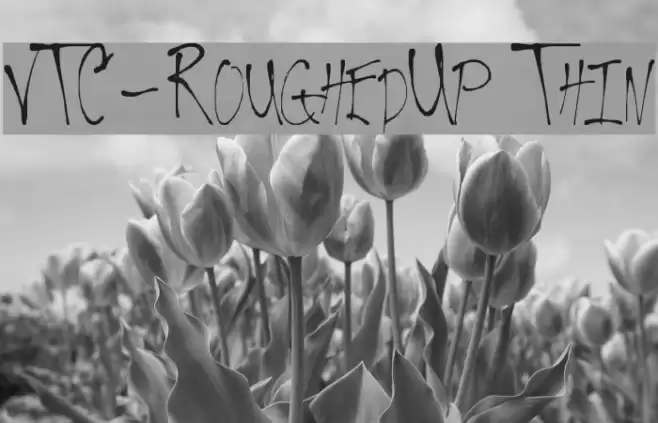 VTC-RoughedUp Thin Font examples