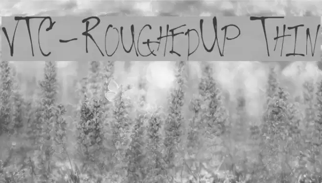 VTC-RoughedUp Thin Font examples