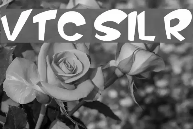 VTC ScreamItLoud Regular Font examples