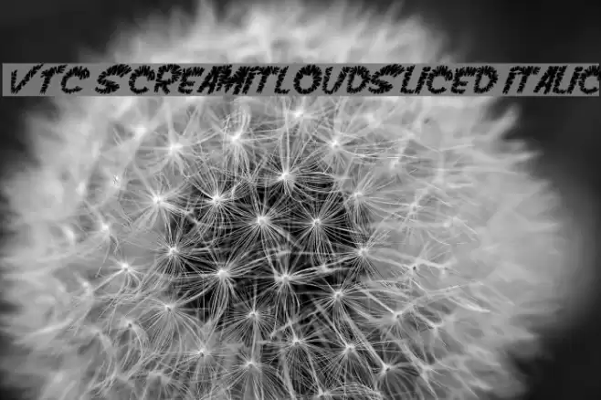 VTC ScreamItLoudSliced Italic Font examples