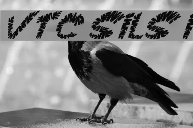 VTC ScreamItLoudSliced Italic Font examples