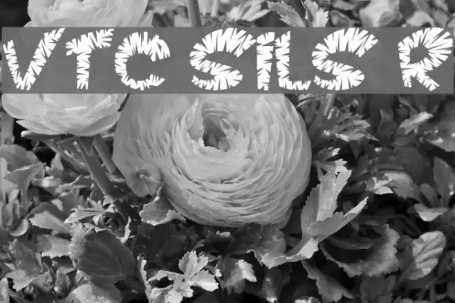 VTC ScreamItLoudSliced Regular Font examples