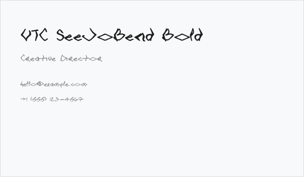 VTC SeeJoBend Bold Business Card