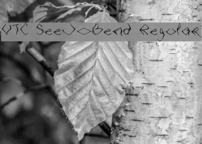 VTC SeeJoBend Regular Шрифта examples