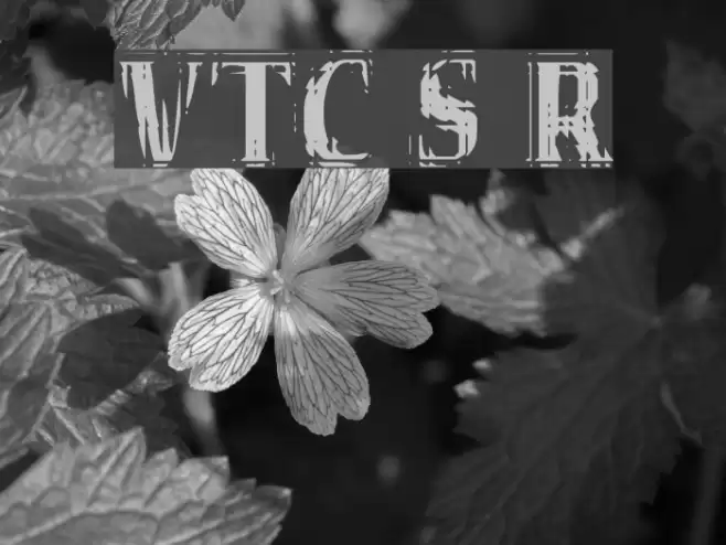 VTC Seeindubbledointriple Regular Font examples