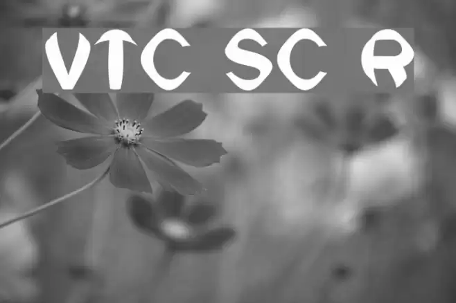 VTC SikleCell Regular フォント examples