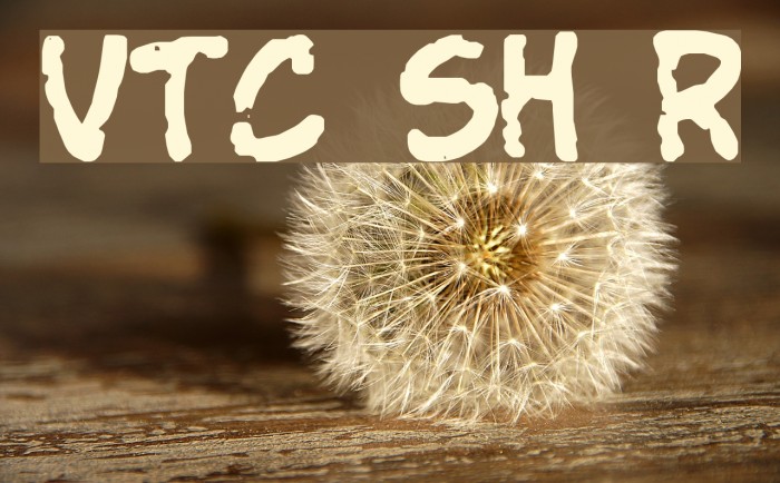 VTC StressedHand Regular Font examples