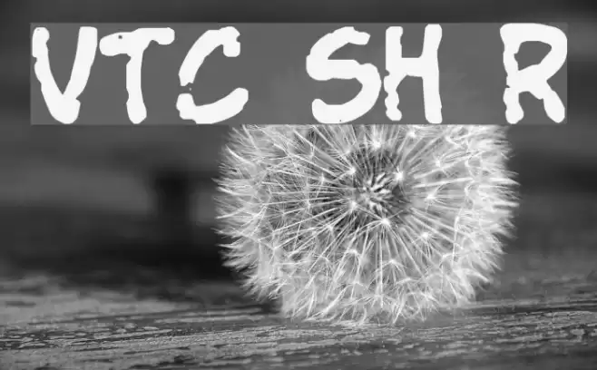 VTC StressedHand Regular フォント examples
