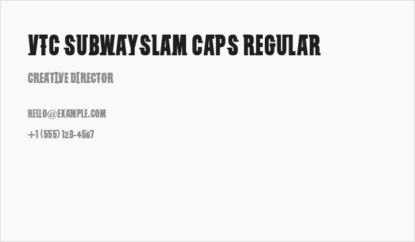 VTC SubwaySlam Caps Regular Business Card