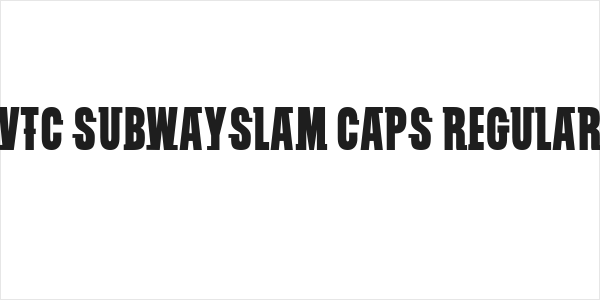 VTC SubwaySlam Caps Regular Logo