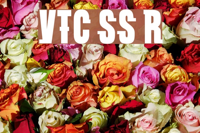 VTC SubwaySlam Regular Caratteri examples