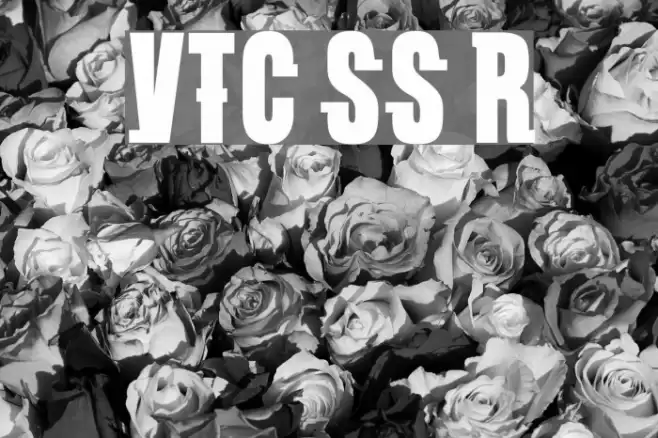 VTC SubwaySlam Regular Caratteri examples