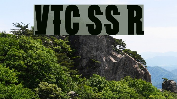 VTC SubwaySlam Regular Caratteri examples