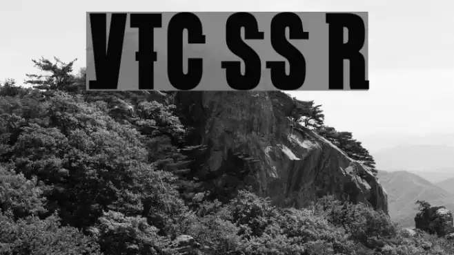 VTC SubwaySlam Regular Caratteri examples