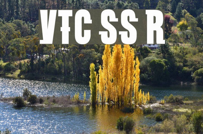 VTC SubwaySlam Regular Caratteri examples