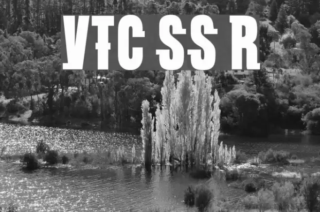 VTC SubwaySlam Regular Caratteri examples