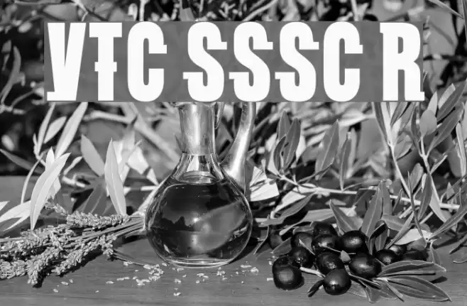 VTC SubwaySlamSC Regular Font examples