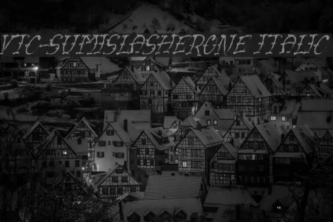 VTC-SumiSlasherOne Italic Font examples