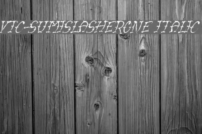 VTC-SumiSlasherOne Italic Font examples