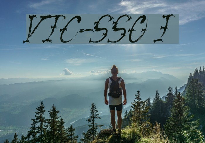 VTC-SumiSlasherOne Italic Font examples