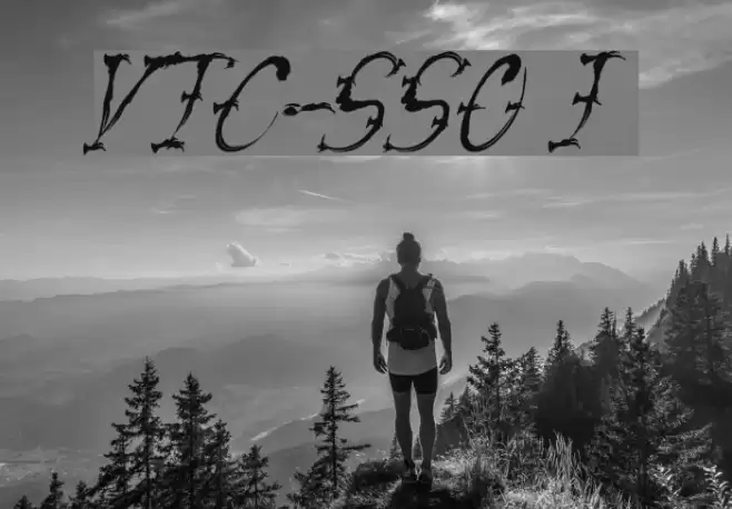VTC-SumiSlasherOne Italic Font examples