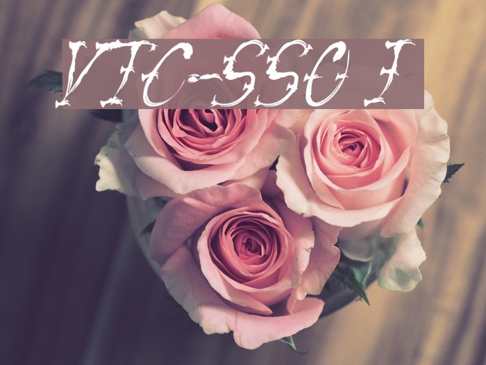 VTC-SumiSlasherOne Italic Font examples