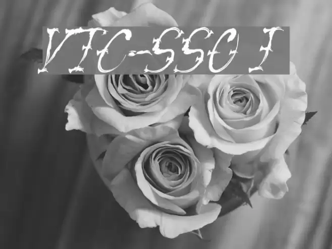 VTC-SumiSlasherOne Italic Font examples
