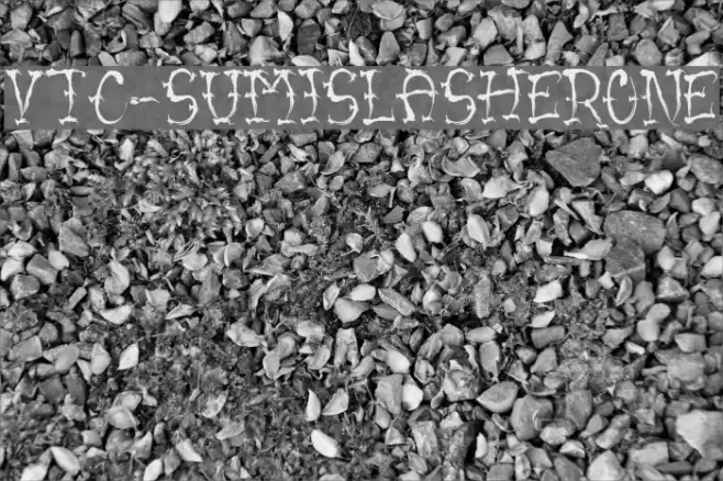 VTC-SumiSlasherOne Font examples