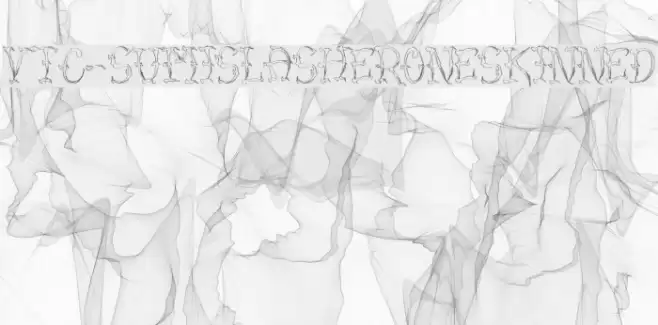 VTC-SumiSlasherOneSkinned Font examples