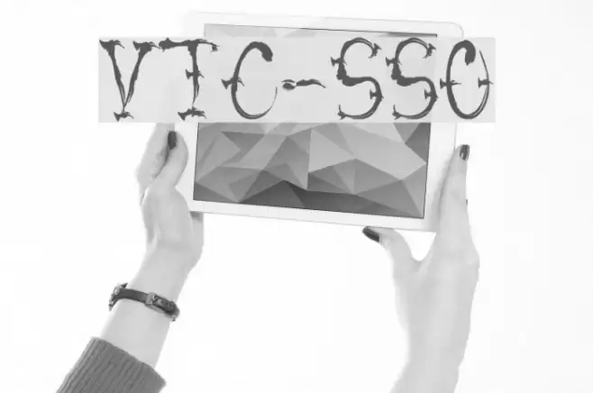 VTC-SumiSlasherOne Font examples