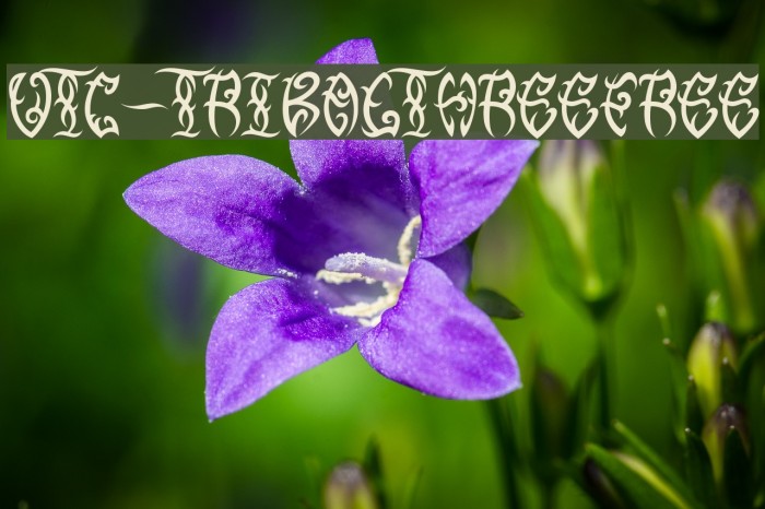 VTC-TribalThreeFree Example 3