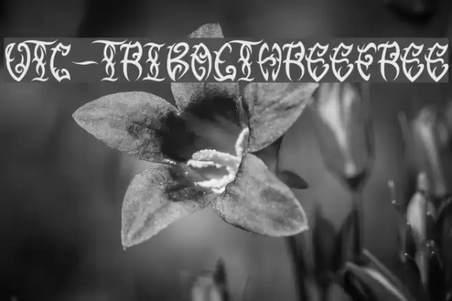 VTC-TribalThreeFree Font examples
