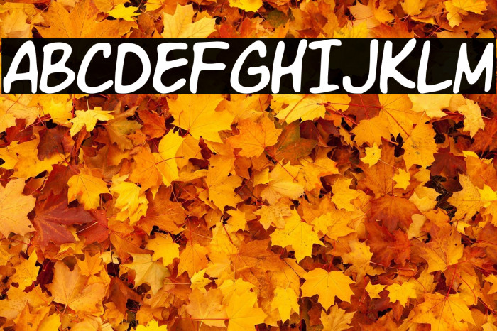 VTC letterer pro 字体 examples