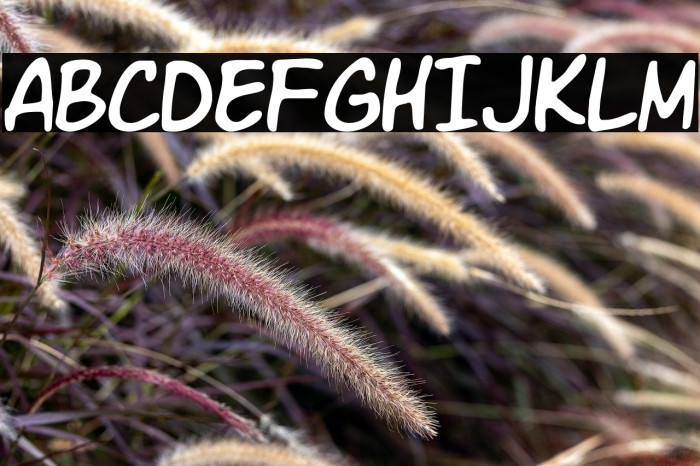 VTC letterer pro 字体 examples