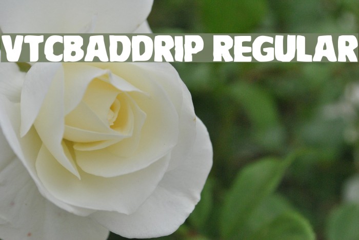 VTCBadDrip Regular Font examples