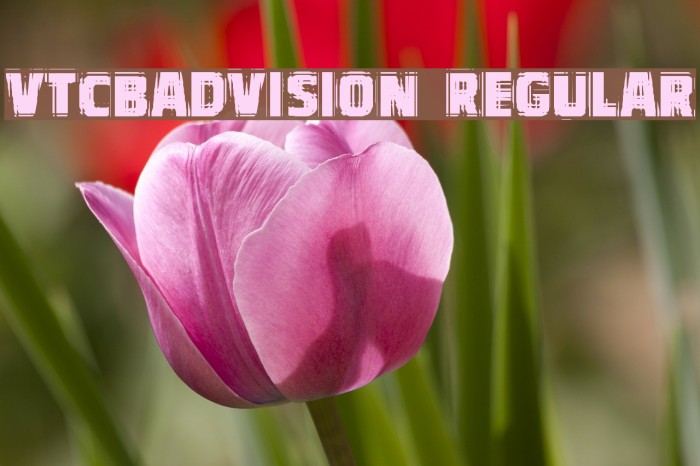 VTCBadVision Regular Font examples