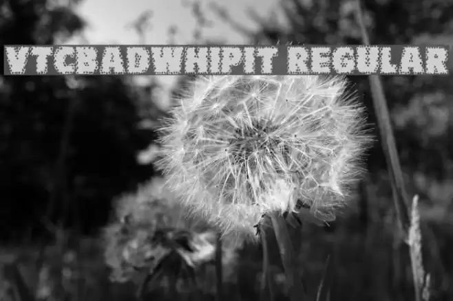 VTCBadWhipit Regular Fonte examples