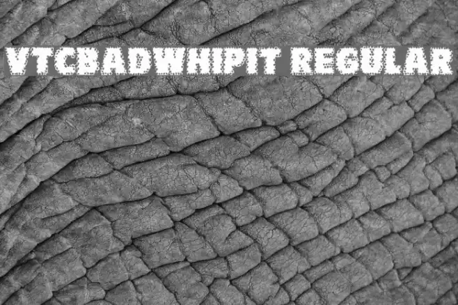 VTCBadWhipit Regular Fonte examples