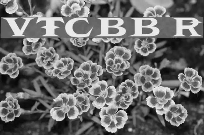 VTCBelialsBlade Regular Font examples