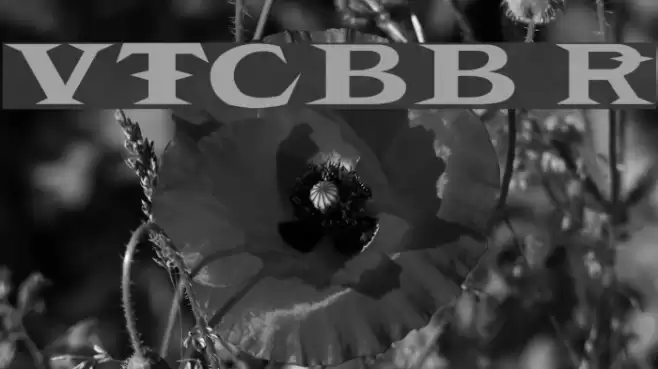 VTCBelialsBlade Regular Font examples