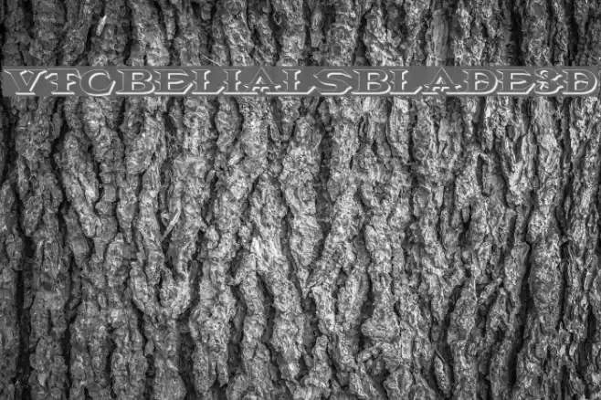 VTCBelialsBlade3d Font examples