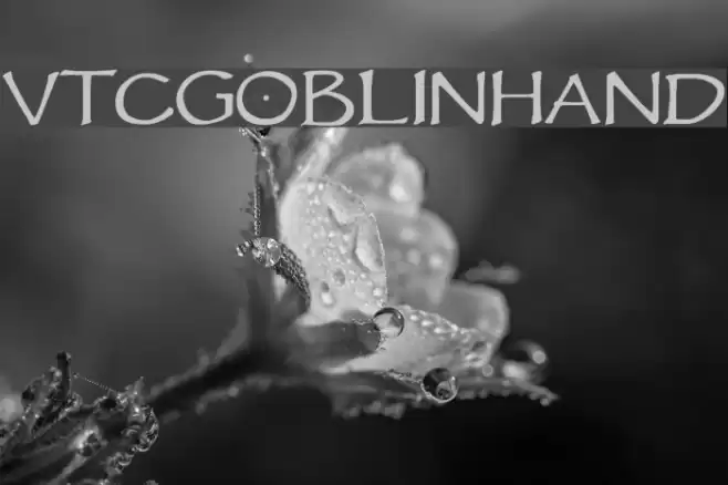 VTCGoblinHand Font examples