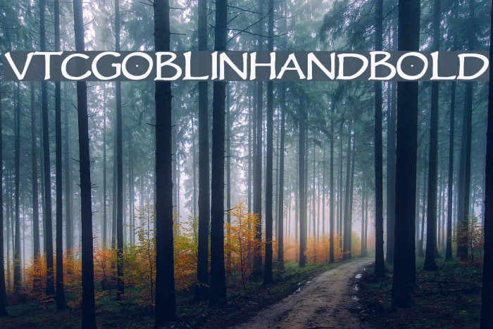 VTCGoblinHandBold Font examples